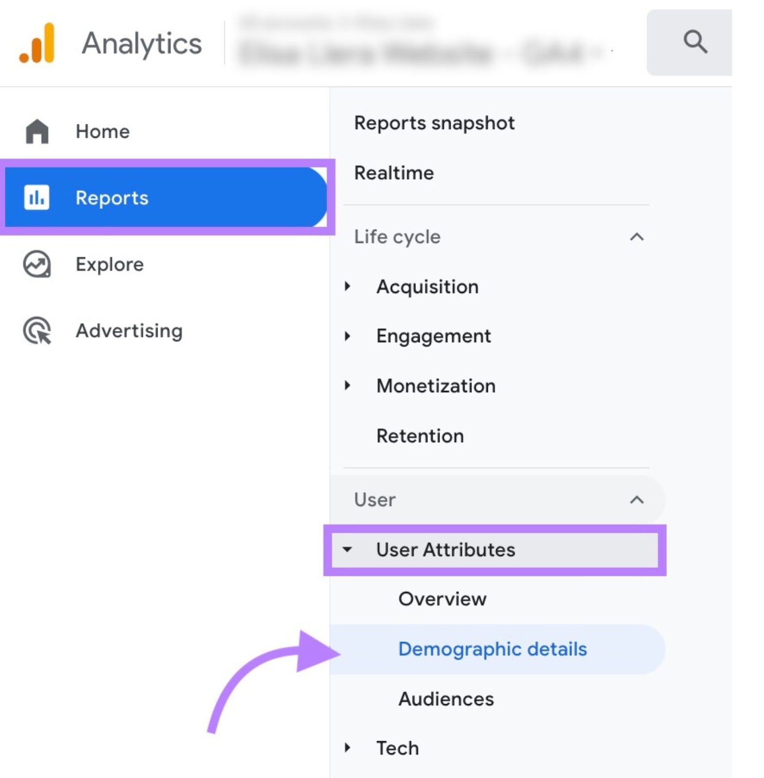 Navigating to “Demographic details" in Google Analytics menu