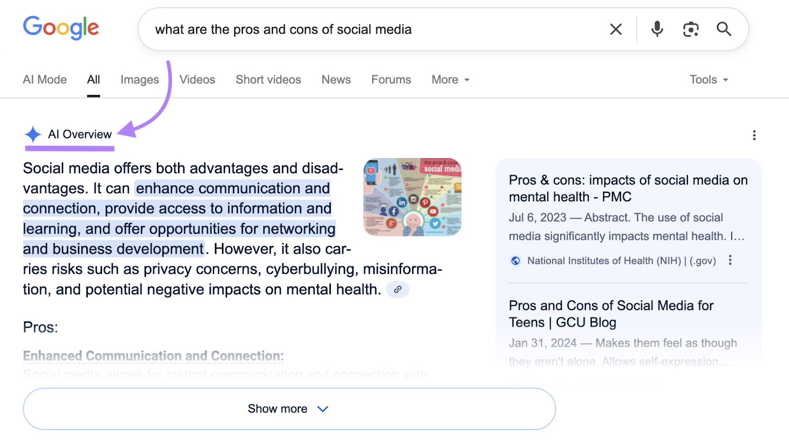 The AI Overview appears with a star symbol at the top of the SERP.