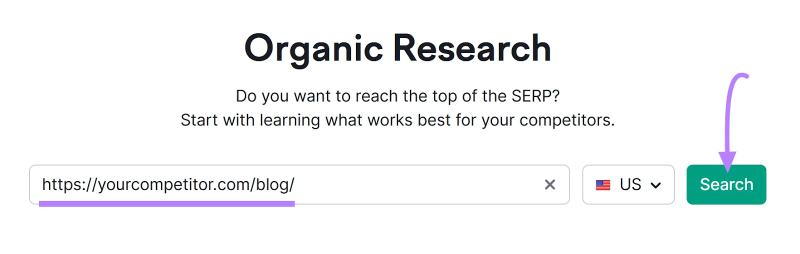 Organic Rankings tool search bar