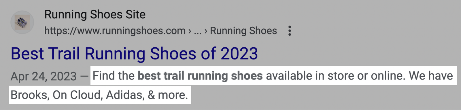 A meta description from Running Shoes Site's article on Google