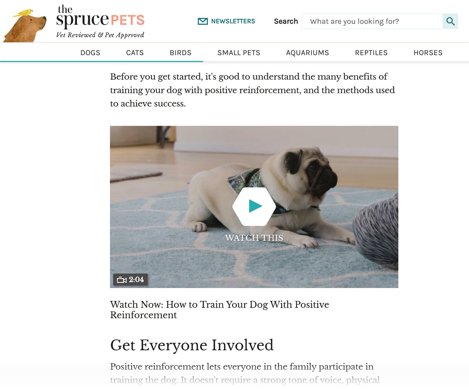 Blog post page with embedded dog training video and positive reinforcement content.