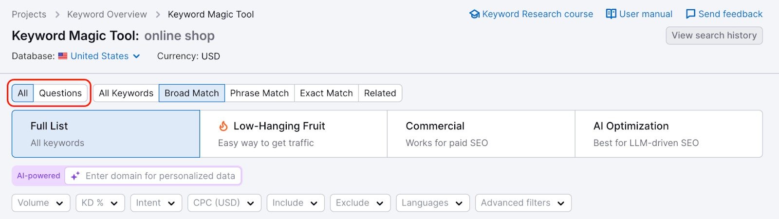 Keyword Magic Tool dashboard with a red rectangle highlighting the All and Questions filters. 