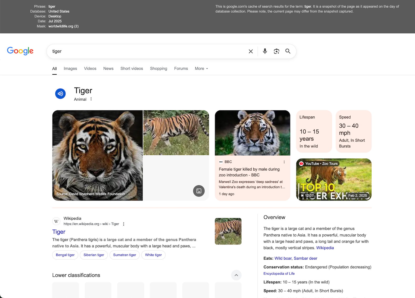What Does Results Mean? image 2