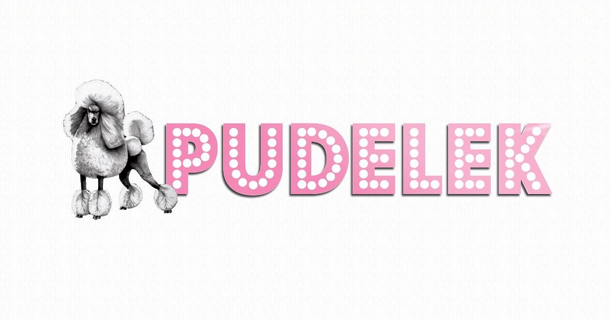 pudelek.pl favicon